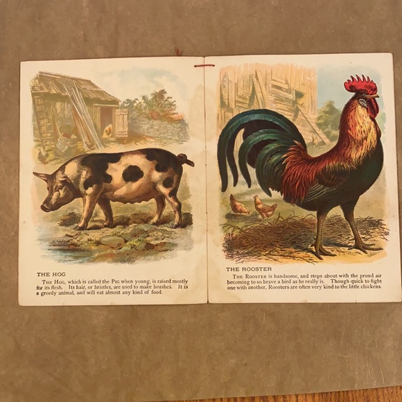 Vintage National Geographic Series - Farmyard and Forest - Picture 2 of 3